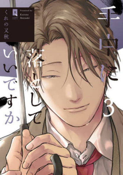 日語版 手中に落としていいですか(3)