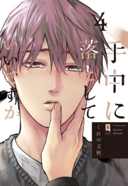 日語版 手中に落としていいですか(4)