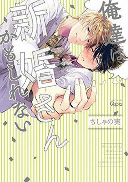 日語版 我們是新婚夫夫（或許）